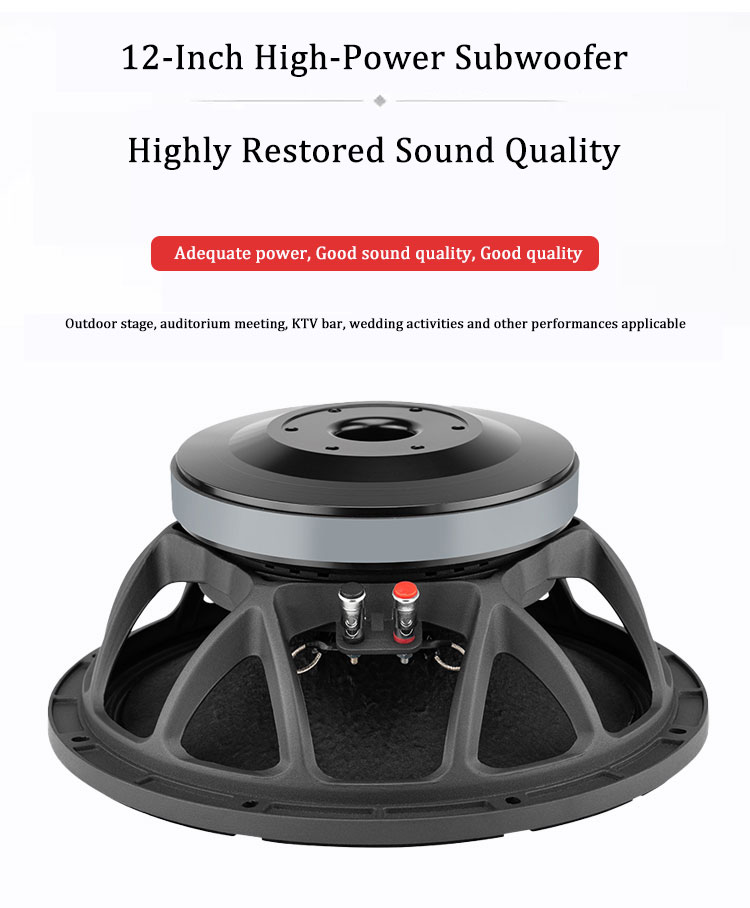 ลําโพงวูฟเฟอร์กําลังสูงขนาด 12 - Quality Outdoor Power บทวิจารณ์และราคา