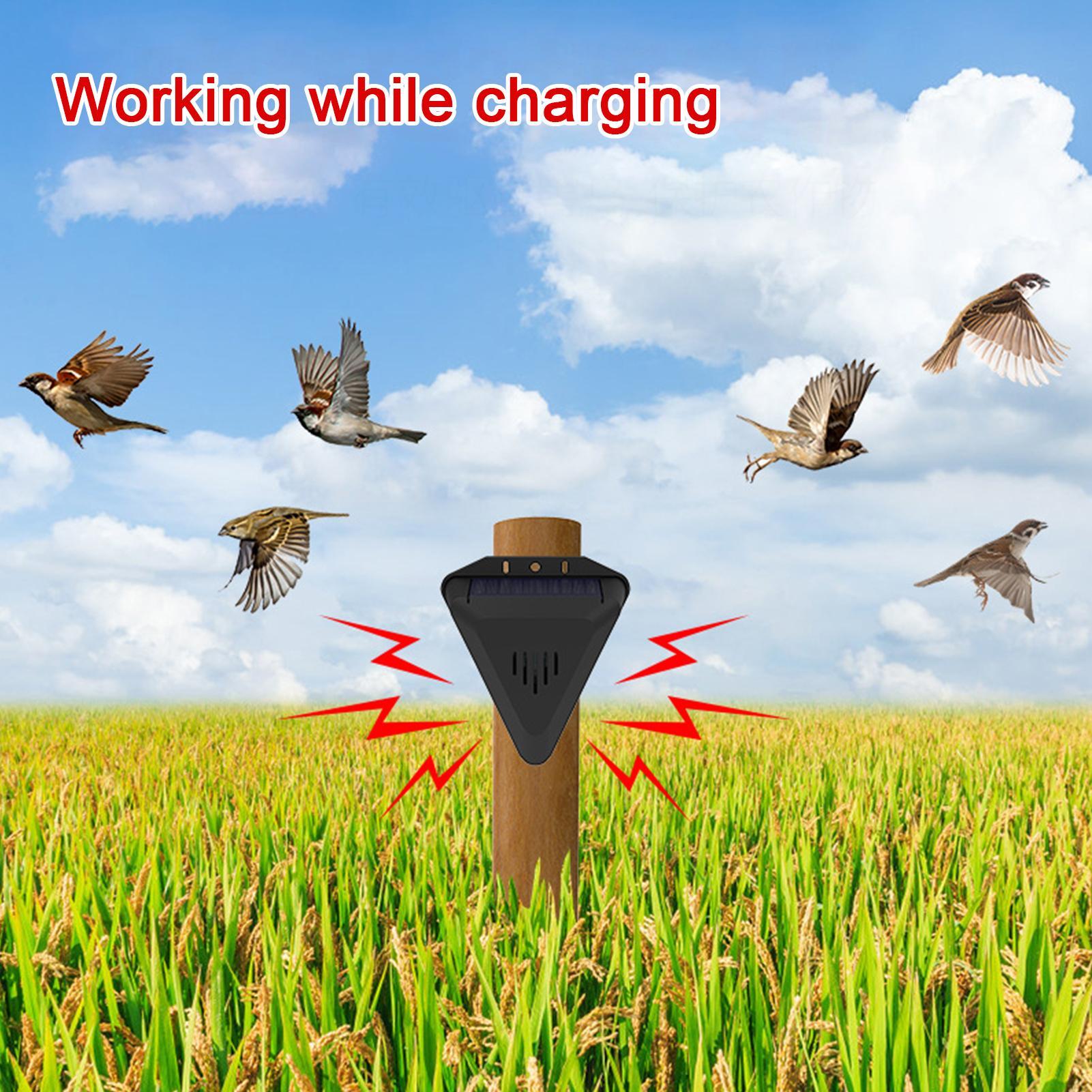 เครื่องไล่นกพลังงานแสงอาทิตย์  - Outdoor Power With Timer บทวิจารณ์และราคา